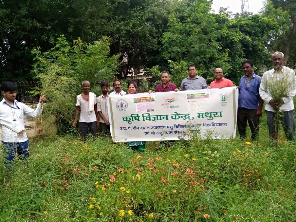 गाजरघास जागरूकता अभियान के तहत कटाई करते उप कृषि निदेशक राम कुमार माथुर।