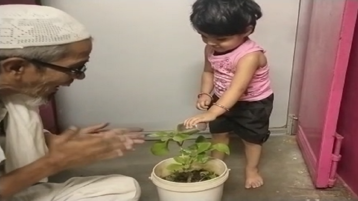 विश्व पर्यावरण दिवस के अवसर पर नन्ही सी बच्ची उमरा वाहिद ने गमले व पौधे में पानी डालती हुई नजर आई