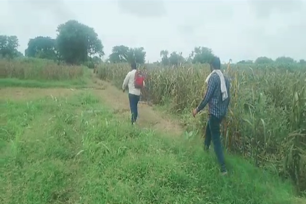 जनपद हाथरस के थाना चन्दपा के गाँव कुवंरपुर मे शनिवार की सुवह नामजद दबंग लोगो ने गाँव के ही एक व्यक्ति के खेत पर लगे खम्बो को उखाड़ कर फेक दिया