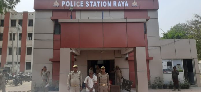 थाना राया पुलिस द्वारा एक वारंटी अभियुक्त को गिरफ्तार किया गया