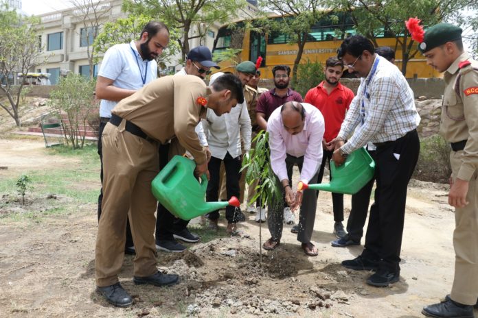 संस्कृति विश्वविद्यालय में पर्यावरण दिवस पर लगाए सैंकड़ों पौधे