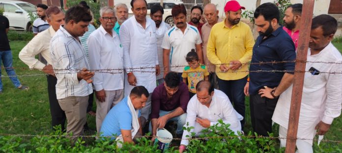 नव समाज सत्याग्रह संस्था के तत्वावधान मे लगाये गये वृक्ष