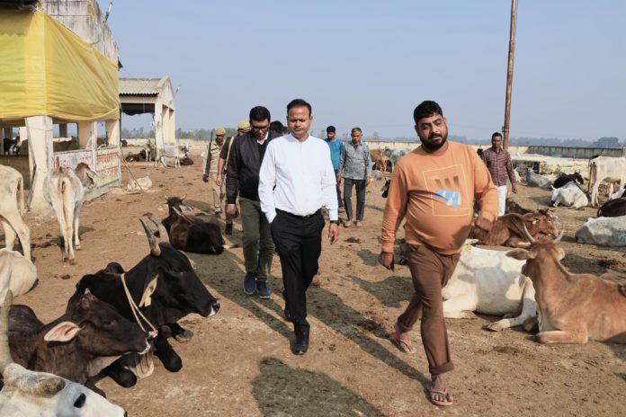 जिलाधिकारी ने रफियाबाद स्थित वृहद गौ संरक्षण केन्द्र का किया निरीक्षण
