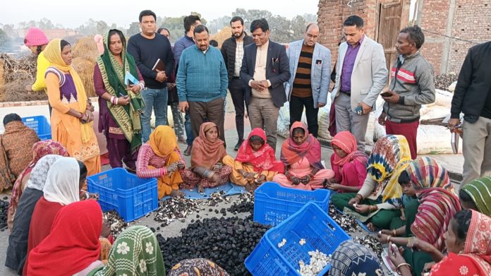 जिलाधिकारी ने किया सिंघाडा प्रोसेसिंग प्लांट का निरीक्षण