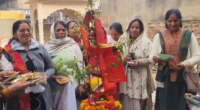 Tulsi Day celebrated with Tulsi worship at Badrinath Dham temple