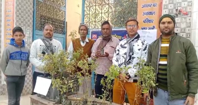 Distribution of Tulsi plants on Tulsi Day by Raktaveer Sanstha